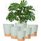 HcOf5pack-5inch-Self-Watering-Pots-for-Indoor-Plants-Flower-Pots-Planter-with-Drainage-Holes-and-Wick.jpeg