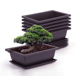 Plastic Flowerpots with Trays: Ideal for Outdoor Gardens, Succulents, Bonsai - Rectangular & Square Planters