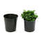 6LQ7100pcs-set-Plastic-Seedling-Planters-Bowl-Nursery-Breathable-Pots-Grow-Bag-Basket-for-Flower-Vegetable-Gardening.jpg