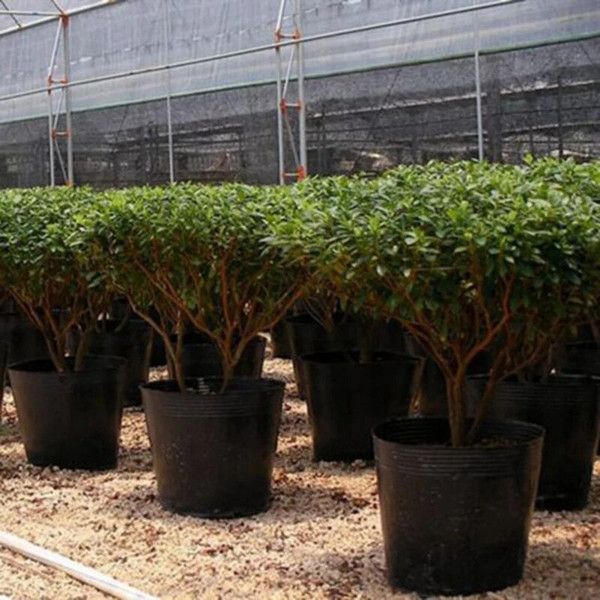 BqtN100pcs-set-Plastic-Seedling-Planters-Bowl-Nursery-Breathable-Pots-Grow-Bag-Basket-for-Flower-Vegetable-Gardening.jpg