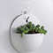 RK6z1Pc-Creative-Flower-Pot-Wall-Mounted-Planter-Pot-Vase-Mini-Vase-Home-Decoration-Wall-Storage-Organizer.jpg