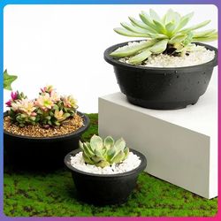Chunky Korean-style Succulent Pots: Large, Corrosion-resistant, Textured Planters