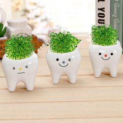 Adorable Ceramic Tooth Flowerpots: Perfect for Succulents and Cacti Decoration at Home or Garden