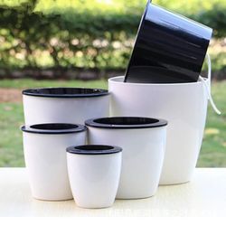 Transparent Self-Watering Flowerpot: Lazy Flower Pot for Plants Nursery - Automatic Water Absorption in Plastic Planter