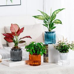 Self-Watering Succulent Plant Pots for Home Decor - Modern Tabletop Bonsai Decoration