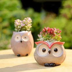 Cute Ceramic Owl Flowerpot: Ideal for Garden, Office DEcor & Succulent Plants