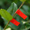 IgDzGarden-Tools-Tree-Parafilm-Secateurs-Engraft-Branch-Gardening-bind-belt-PVC-tie-Tape-Tying-Binding-Flower.jpg