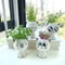 k7xa1pc-Ceramic-Flowerpot-Mini-Cat-Cartoon-Cute-Potted-Plant-Desktop-Cat-Plant-Pot-DIY-Desk-Decorate.jpg