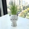 TR4U1pc-Ceramic-Flowerpot-Mini-Cat-Cartoon-Cute-Potted-Plant-Desktop-Cat-Plant-Pot-DIY-Desk-Decorate.jpg
