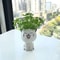 G3Tm1pc-Ceramic-Flowerpot-Mini-Cat-Cartoon-Cute-Potted-Plant-Desktop-Cat-Plant-Pot-DIY-Desk-Decorate.jpg