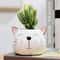 rQ6g1Pcs-Nordic-Style-Ceramic-Animal-Flower-Pot-Cartoon-Bear-Cat-Cow-Head-Mini-Pot-Succulents-Plants.jpg