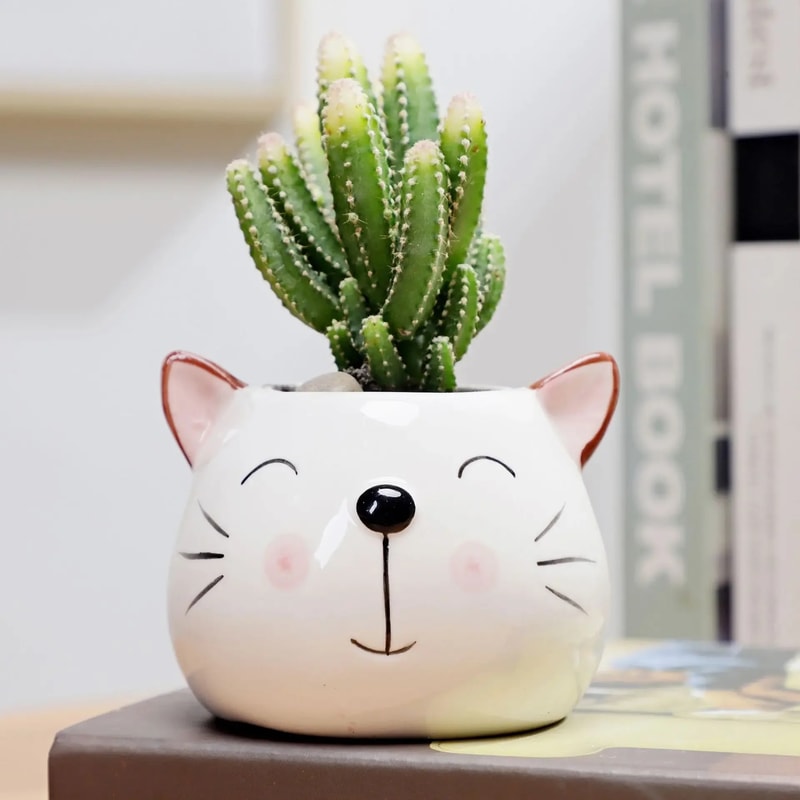 I8NV1Pcs-Nordic-Style-Ceramic-Animal-Flower-Pot-Cartoon-Bear-Cat-Cow-Head-Mini-Pot-Succulents-Plants.jpg