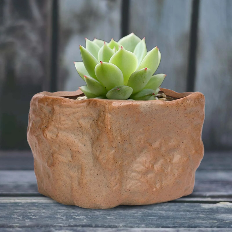 gtJ3Ceramic-Stone-Shape-Small-Plants-Pot-Succulent-Plant-Flower-Pot-Bonsai-Cactus-Home-Living-Room-Decor.jpg
