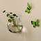 RffXTransparent-Glass-Vase-Wall-Hanging-Hydroponic-Terrarium-Fish-Tanks-Potted-Plant-Flower-Pot-Dia-8cm-10cm.jpg