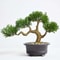ecEwSimulation-Plants-Pine-Needles-Bonsai-Artificial-Decoration-Rollo-De-Vaya-De-Hojas-Artificiales-Home-Decor-Accessories.jpg