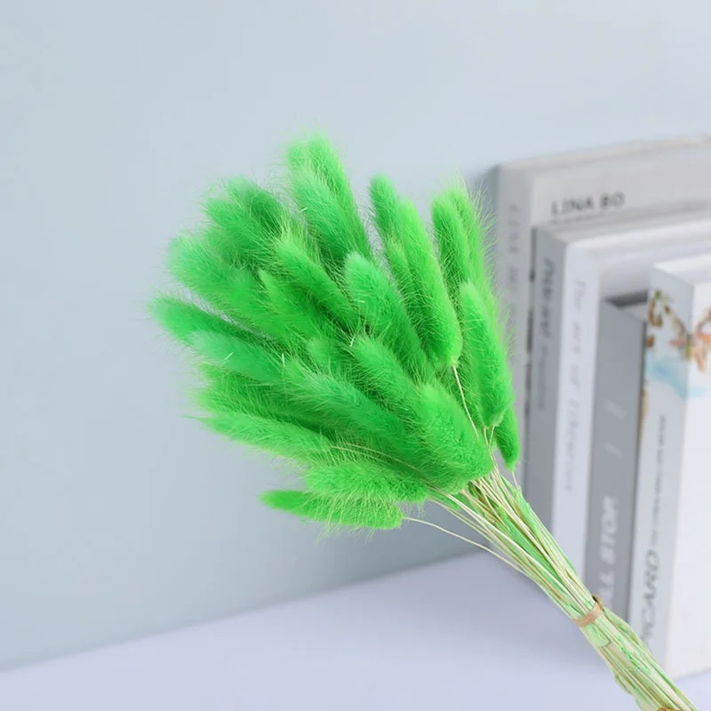jOBr50PCS-Bunny-Rabbit-Tail-Grass-Natural-Dried-Flowers-Bouquet-Wedding-Christmas-Decoration-Lagurus-Pampas-Home-Decor.jpg