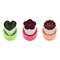 ooqCStar-Heart-Shape-Vegetables-Cutter-Plastic-Handle-3Pcs-Portable-Cook-Tools-Stainless-Steel-Fruit-Cutting-Die.jpg