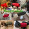 ziUXWarm-Pet-Dog-Vest-Jacket-Autumn-Winter-Dog-Clothes-French-Bulldog-Chihuahua-Clothing-For-Small-Medium.jpg