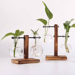 Hydroponic Plant Terrarium Vase: Glass Bottle Decoration for Home & Office Greenery - Small Potted Desktop Decor