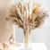hsoe105pcs-Natural-Dried-Flowers-Pampas-Floral-Bouquet-Boho-Country-Home-Decoration-Rabbit-Tail-Grass-Reed-Wedding.jpg