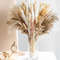 hsoe105pcs-Natural-Dried-Flowers-Pampas-Floral-Bouquet-Boho-Country-Home-Decoration-Rabbit-Tail-Grass-Reed-Wedding.jpg