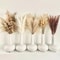 jeav105pcs-Natural-Dried-Flowers-Pampas-Floral-Bouquet-Boho-Country-Home-Decoration-Rabbit-Tail-Grass-Reed-Wedding.jpg