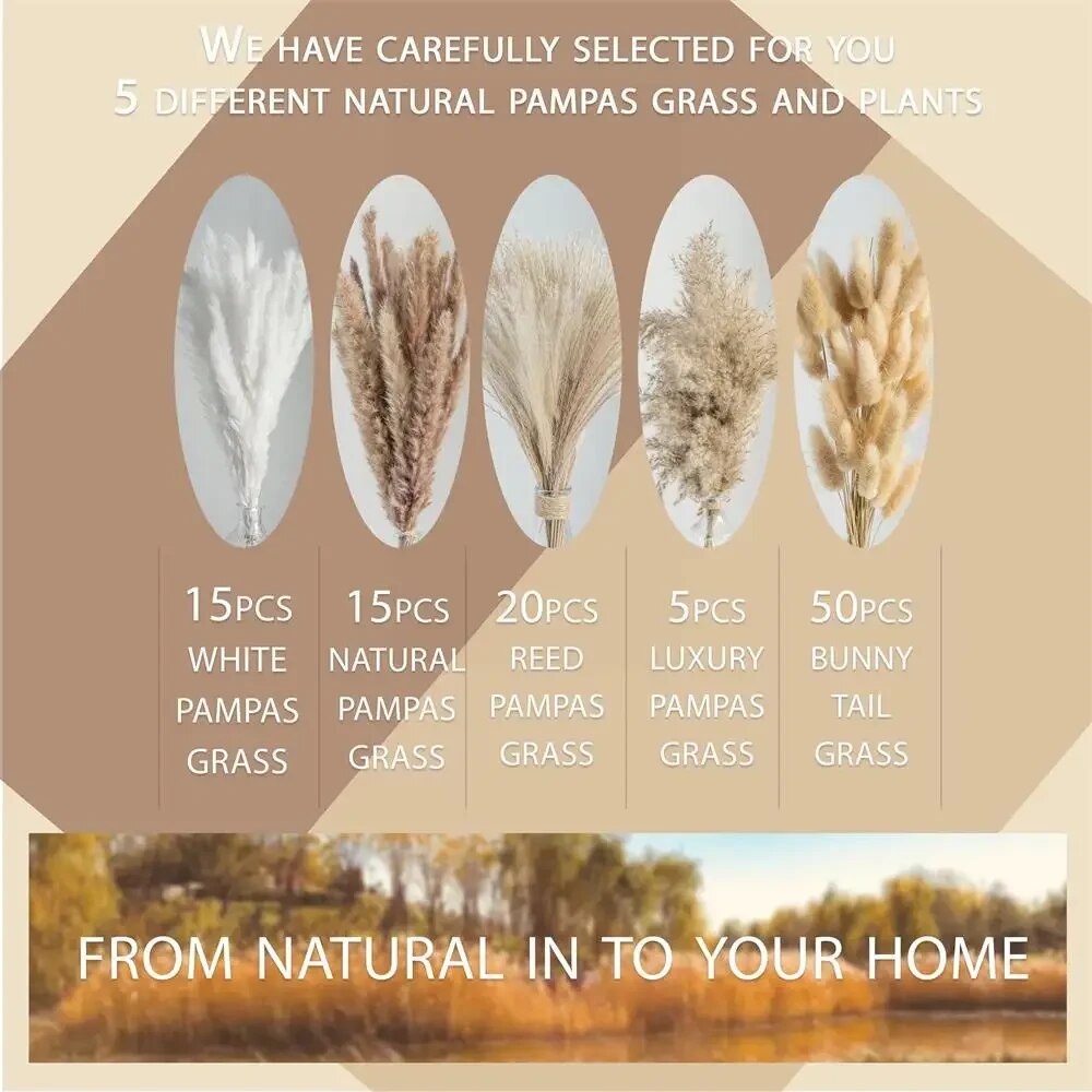 CyYA105pcs-Natural-Dried-Flowers-Pampas-Floral-Bouquet-Boho-Country-Home-Decoration-Rabbit-Tail-Grass-Reed-Wedding.jpg