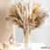 UGl3105pcs-Natural-Dried-Flowers-Pampas-Floral-Bouquet-Boho-Country-Home-Decoration-Rabbit-Tail-Grass-Reed-Wedding.jpg