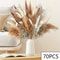 H2Jh105pcs-Natural-Dried-Flowers-Pampas-Floral-Bouquet-Boho-Country-Home-Decoration-Rabbit-Tail-Grass-Reed-Wedding.jpg