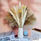 bTZA105pcs-Natural-Dried-Flowers-Pampas-Floral-Bouquet-Boho-Country-Home-Decoration-Rabbit-Tail-Grass-Reed-Wedding.jpg