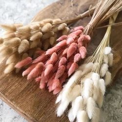 60Pcs Dried Flowers Rabbit Tails Grass Bouquet Home Decor DIY Natural Fluffy Pampas Floral Arrangement Rustic Wedding De