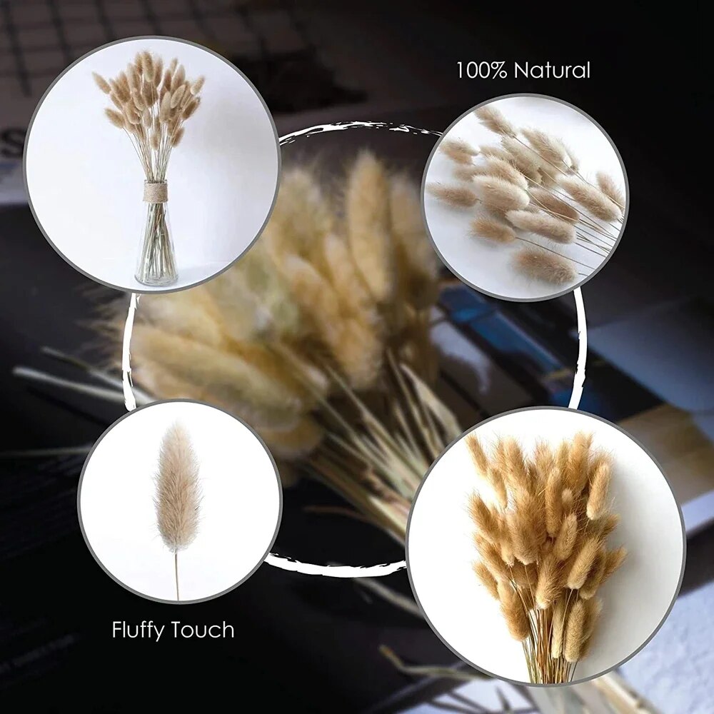 Gd1Y60Pcs-Dried-Flowers-Rabbit-Tails-Grass-Bouquet-Home-Decor-Diy-Natural-Fluffy-Pampas-Floral-Arrangement-Rustic.jpg