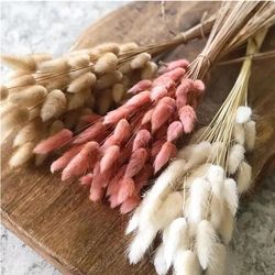 fluffy dry pampas flower decoration: bunny rabbit tail grass for boho wedding, home room diy decor