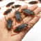 oS0EArtificial-Fake-Roaches-Novelty-Cockroach-trick-Prop-Scary-Insects-Realistic-Plastic-Bugs-Funny-Halloween-Party-Spoof.jpg