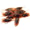 6KwfArtificial-Fake-Roaches-Novelty-Cockroach-trick-Prop-Scary-Insects-Realistic-Plastic-Bugs-Funny-Halloween-Party-Spoof.jpg