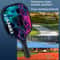 Lightweight Pickleball Paddle Set With Balls Outdoor Beginner Friendly Rackets Kit 4