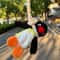 Cute Penguin Plush Keychain Soft Animal Backpack Charm Gift