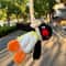 Cute Penguin Plush Keychain Soft Animal Backpack Charm Gift