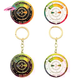 rotating color wheel keychain metal color compass artist palette keyring