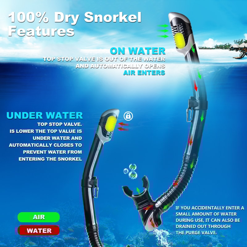 Anti Fog Snorkeling Mask Set With Dry Top Snorkel Leakproof Diving Gear 5