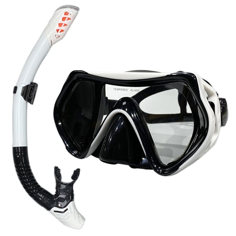 Professional Snorkeling Mask Set Anti Fog Diving Mask With Dry Snorkel Wide View 0