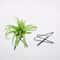 Geometric Metal Air Plant Holder Minimalist Tillandsia Display Stand 0