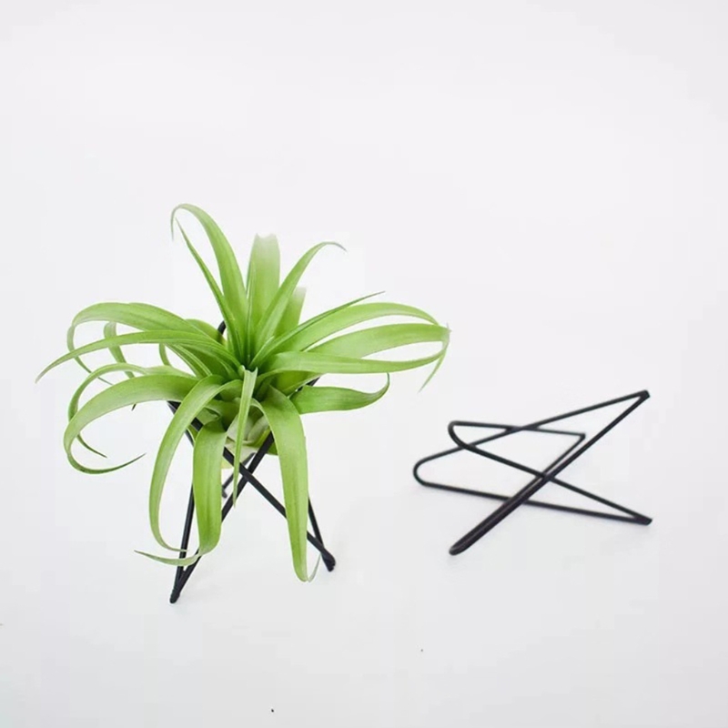 Geometric Metal Air Plant Holder Minimalist Tillandsia Display Stand 0