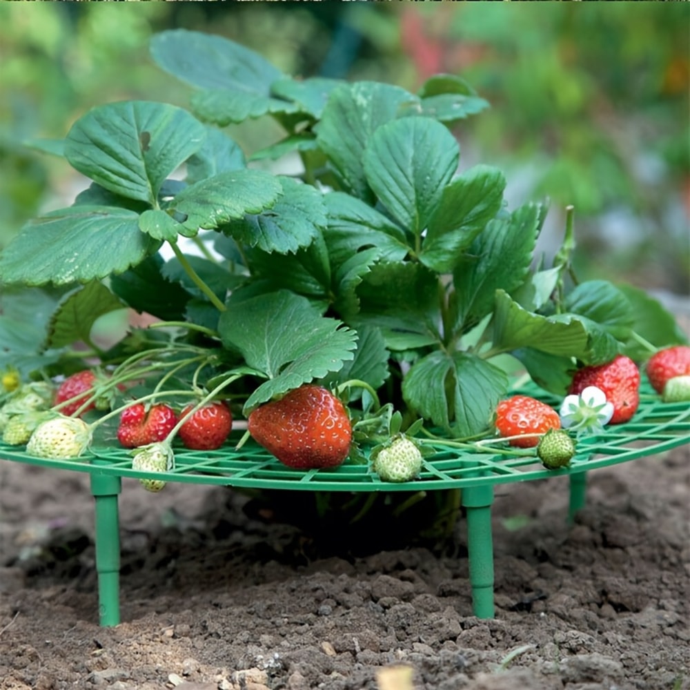 Vertical Strawberry Planter Rack With Sturdy Stand Space Saving Garden Tower For Berries 2