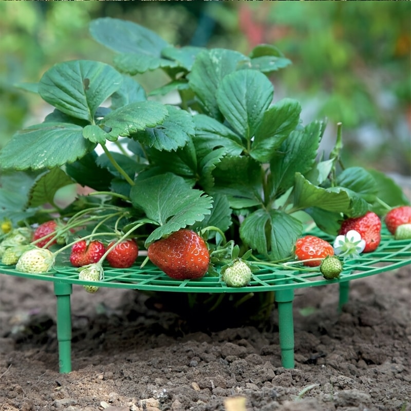 Vertical Strawberry Planter Rack With Sturdy Stand Space Saving Garden Tower For Berries 2