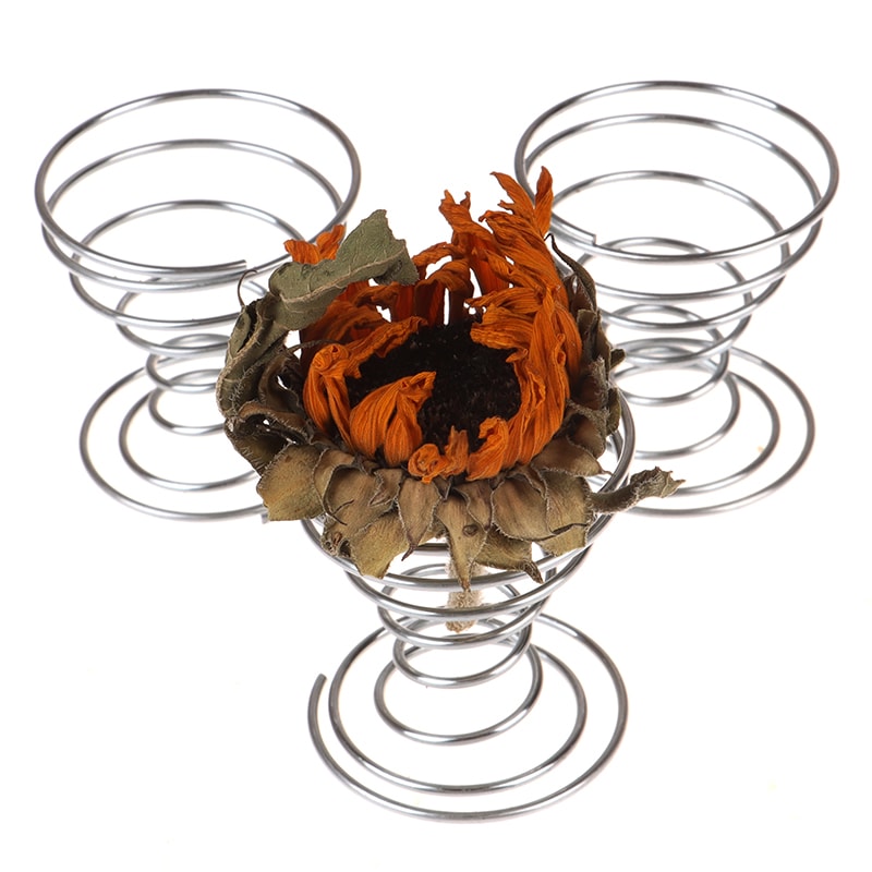 Modern Metal Air Plant Holder Set Flexible Tillandsia Display Stand Decor 4