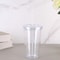 Double Layer Transparent Tumbler with Straw Reusable Insulated Water Bottle Cup