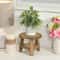 Mini Wooden Plant Stand Indoor Bonsai Display Stool Natural Wood Flower Pot Riser 1
