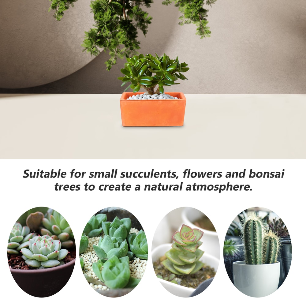 Rectangular Terracotta Planter Pot With Drainage Hole For Succulents And Indoor Plants 3