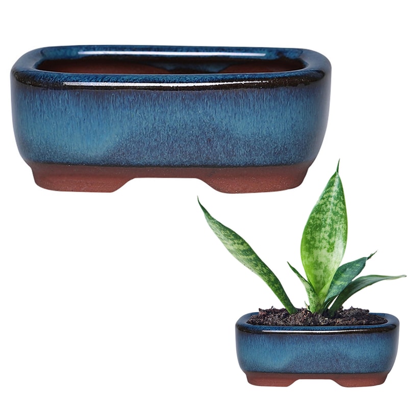 Elegant Ceramic Succulent Planter With Drainage Hole Indoor Outdoor Flower Pot 6